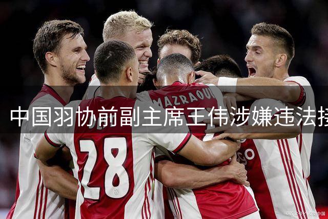 中国羽协前副主席王伟涉嫌违法接受调查