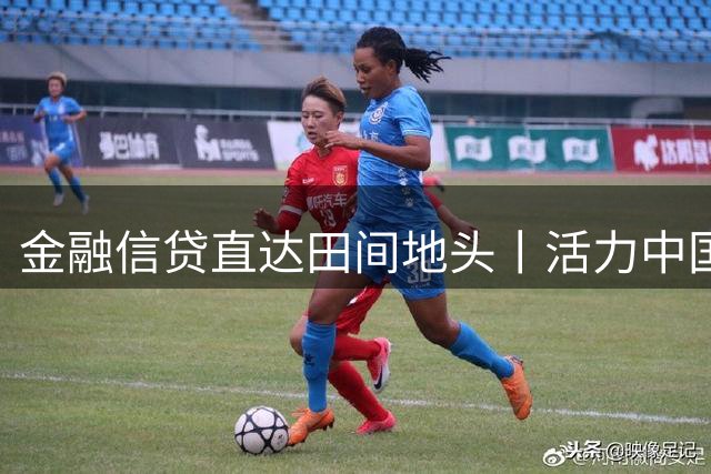 金融信贷直达田间地头丨活力中国调研行